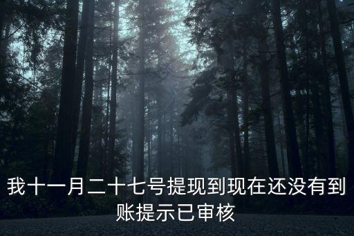 我十一月二十七號(hào)提現(xiàn)到現(xiàn)在還沒有到賬提示已審核