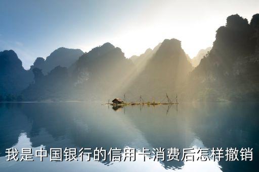 我是中國(guó)銀行的信用卡消費(fèi)后怎樣撤銷(xiāo)