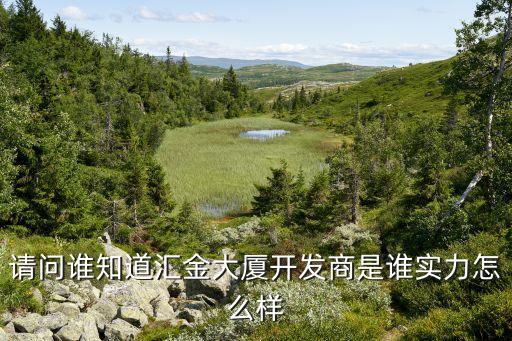 渤海匯金實力怎么樣，請問誰知道匯金大廈開發(fā)商是誰實力怎么樣