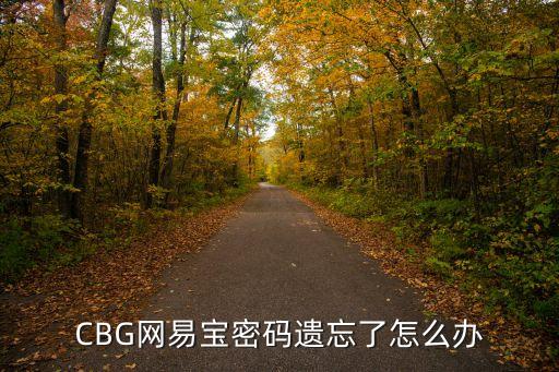 CBG網易寶密碼遺忘了怎么辦