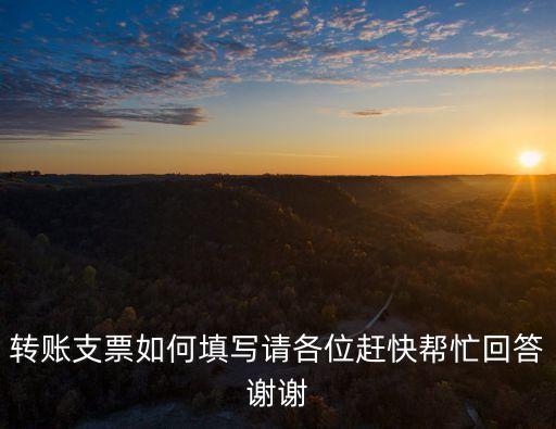 轉(zhuǎn)賬支票如何填寫請(qǐng)各位趕快幫忙回答謝謝
