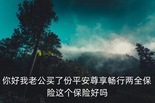 暢行兩全14怎么樣，你好我老公買(mǎi)了份平安尊享暢行兩全保險(xiǎn)這個(gè)保險(xiǎn)好嗎