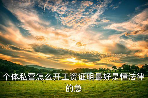 個體戶怎么開工資證明，個體工商戶怎么開收入證明