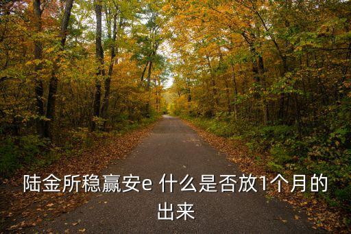 穩(wěn)盈安e 怎么買不到，穩(wěn)盈安e貸背約怎樣辦