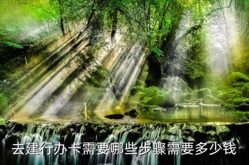 去建行辦卡需要哪些步驟需要多少錢