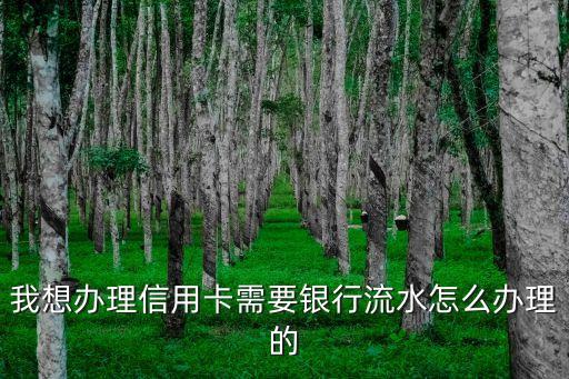 去銀行辦流水怎么辦理信用卡，如何在銀行辦理信用卡