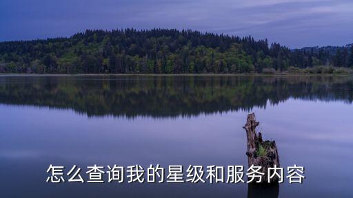 怎么查詢我的星級和服務(wù)內(nèi)容