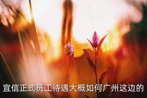 宜信正式員工待遇大概如何廣州這邊的