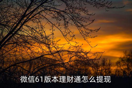 微信61版本理財(cái)通怎么提現(xiàn)
