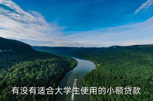 有沒有適合大學(xué)生使用的小額貸款