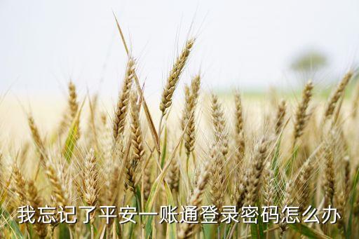 手機一帳通密碼忘記了怎么辦，我忘記了平安一賬通登錄密碼怎么辦