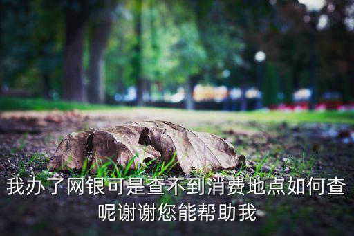 我辦了網(wǎng)銀可是查不到消費(fèi)地點(diǎn)如何查呢謝謝您能幫助我