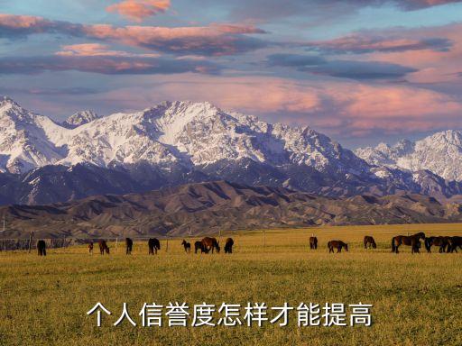 個(gè)人信譽(yù)度怎樣才能提高