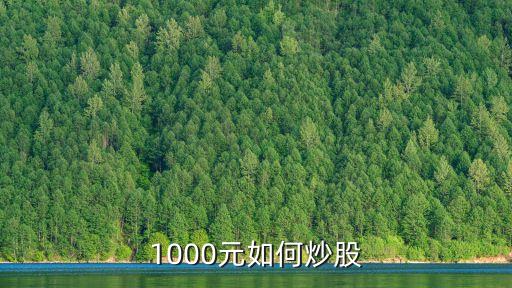1000元如何炒股