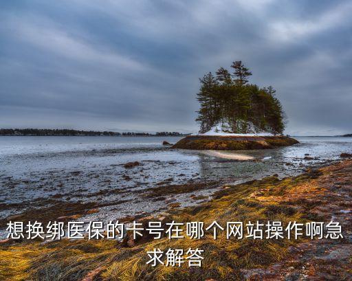 怎么轉(zhuǎn)綁醫(yī)療卡，想換綁醫(yī)保的卡號(hào)在哪個(gè)網(wǎng)站操作啊急求解答