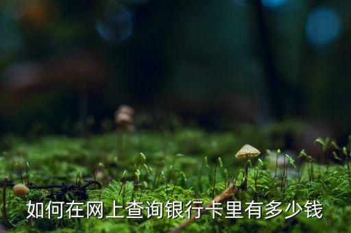 社區(qū)e銀行的總錢怎么查，請問怎么查詢電子帳戶里面的錢
