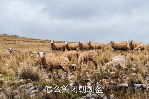 怎么關(guān)閉朝朝盈