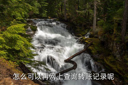 怎么查所有電子轉(zhuǎn)賬，如何查詢轉(zhuǎn)賬信息