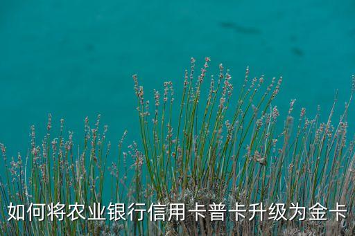 如何將農(nóng)業(yè)銀行信用卡普卡升級(jí)為金卡
