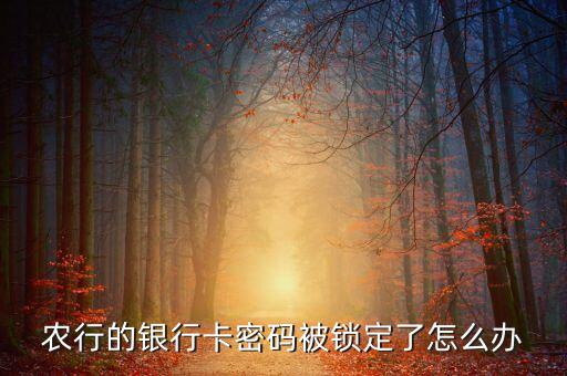 農行的銀行卡密碼被鎖定了怎么辦