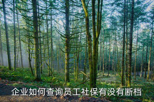 企業(yè)如何查詢員工社保有沒有斷檔