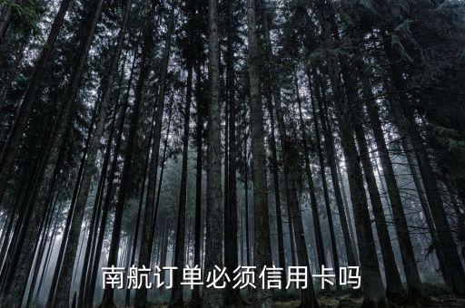 南航怎么只能用信用卡嗎，南航的機票可不可以用信用卡支付