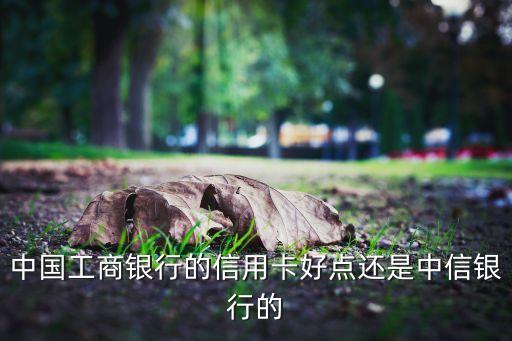中國工商銀行的信用卡好點(diǎn)還是中信銀行的