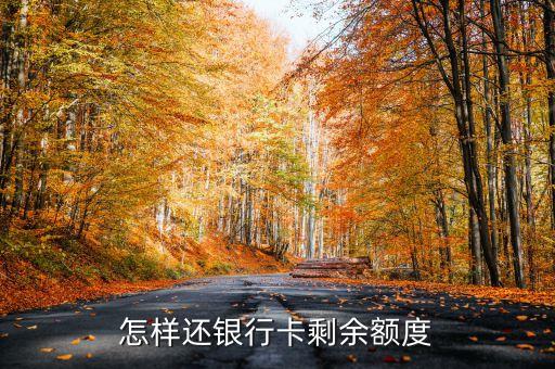 銀行儲蓄卡額度怎么還，用了儲蓄卡額度300元怎么還