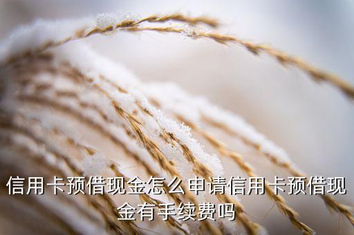 預(yù)借額度怎么借，我想知道信用卡預(yù)借現(xiàn)金怎么借