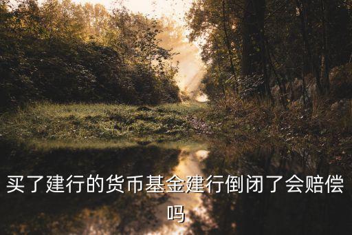 銀行倒閉銀行買的貨幣基金怎么辦，銀行倒閉后通過銀行購買的基金怎么辦