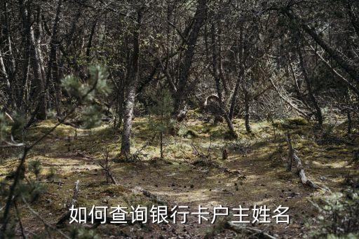 如何查詢銀行卡戶主姓名