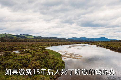 如果繳費(fèi)15年后人死了所繳的錢咋辦