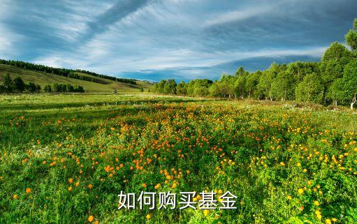 如何購買基金