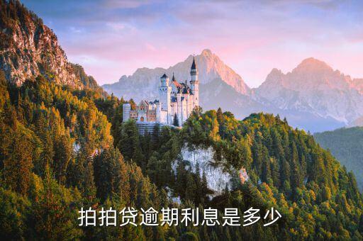 拍拍貸還款逾期利息怎么算利息，拍拍貸嚴(yán)重超期 每天利息怎么算的