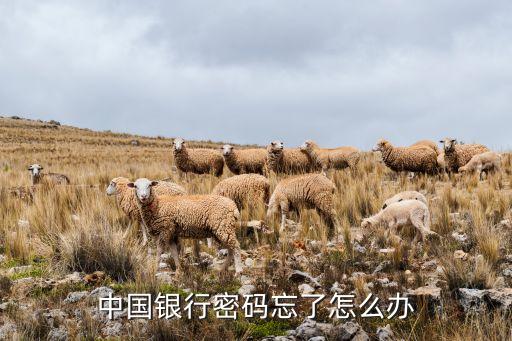 中國(guó)銀行密碼忘了怎么辦