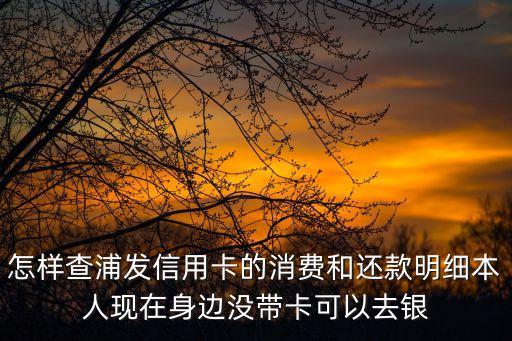 怎樣查浦發(fā)信用卡的消費(fèi)和還款明細(xì)本人現(xiàn)在身邊沒帶卡可以去銀