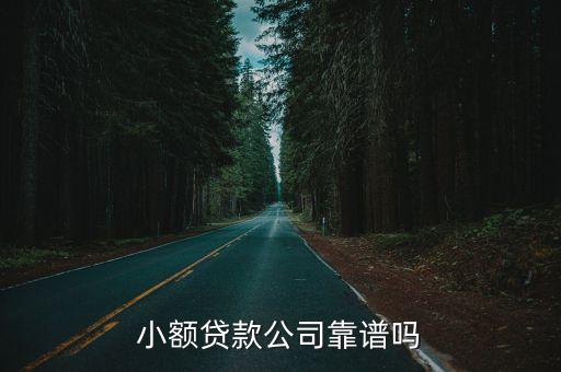 貸貸金融服務(wù)有限公司怎么樣，小額貸款公司靠譜嗎