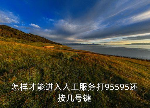 興業(yè)銀行怎么人工通話，怎樣才能進(jìn)入人工服務(wù)打95595還按幾號鍵