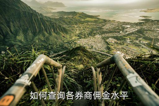 如何查詢各券商傭金水平