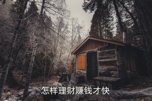 怎樣理財賺錢才快