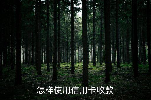 怎樣使用信用卡收款