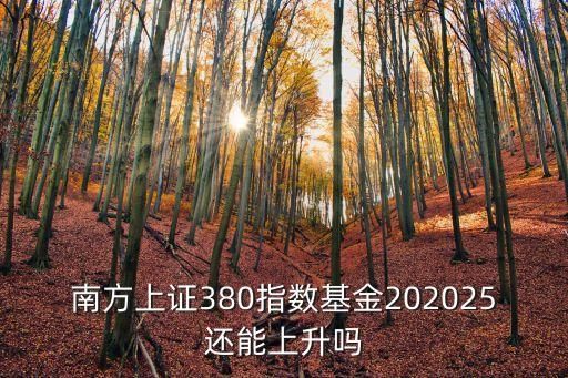 南方上證380指數(shù)基金202025還能上升嗎