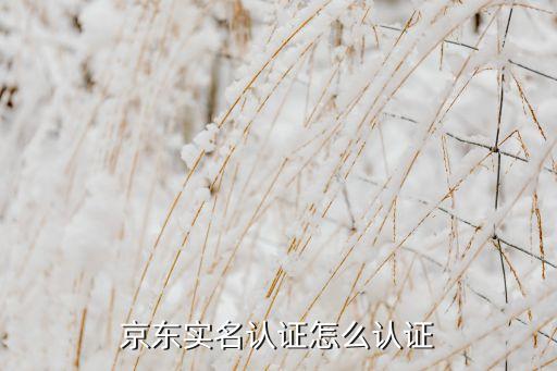 京東怎么做實名認(rèn)證，京東實名認(rèn)證怎么認(rèn)證