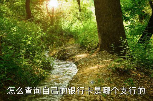 支行信息怎么查，怎么查詢自己的銀行卡是哪個支行的