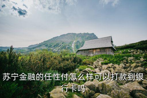 蘇寧金融的任性付怎么樣可以打款到銀行卡嗎
