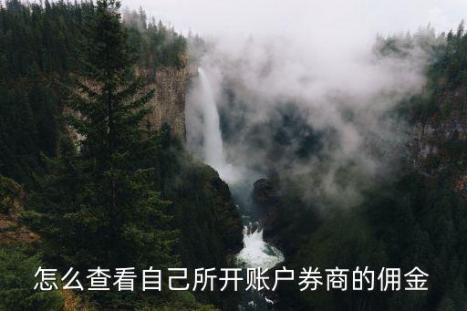 怎么查券商傭金是多少錢(qián)，怎么查看自己所開(kāi)賬戶券商的傭金
