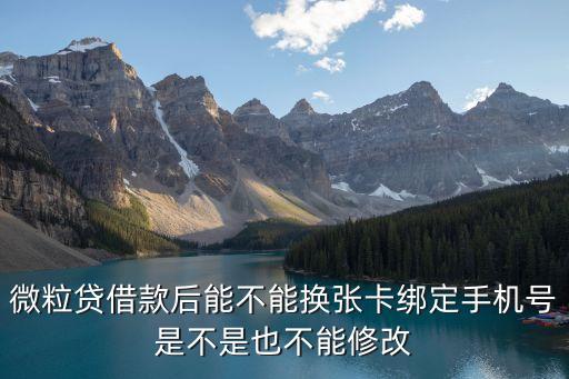微粒貸借款后能不能換張卡綁定手機號是不是也不能修改