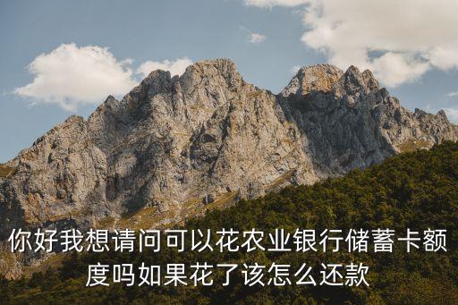 你好我想請問可以花農(nóng)業(yè)銀行儲蓄卡額度嗎如果花了該怎么還款