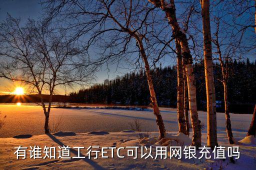 有誰(shuí)知道工行ETC可以用網(wǎng)銀充值嗎