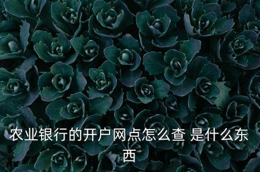 農(nóng)行怎么查找村鎮(zhèn)銀行網(wǎng)點，只知道農(nóng)行卡號如何查詢屬于哪家分行支行分理所